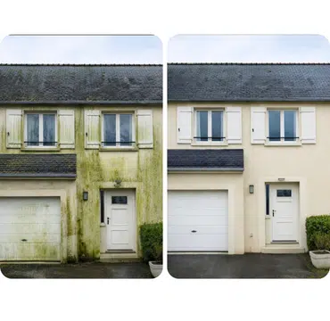 Nettoyage de façade d'une maison envahie de mousses vertes