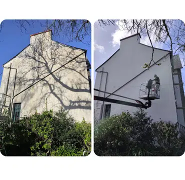 Ravalement rénovation d'un pignon de maison sous un arbre